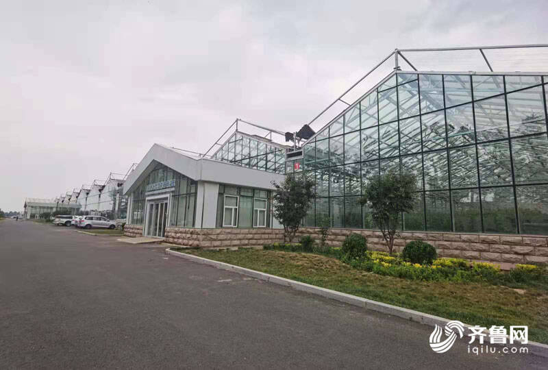 高端智庫看山東 如何豐富“壽光模式”內涵？專家支招 結合新發展機遇，用數字經濟賦能產業，推廣新材料技術